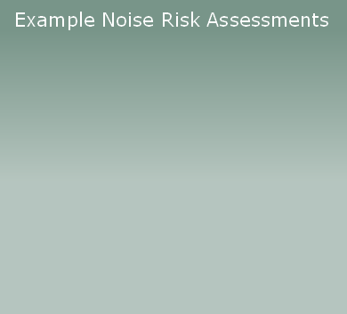 Example Noise Risk Assessments